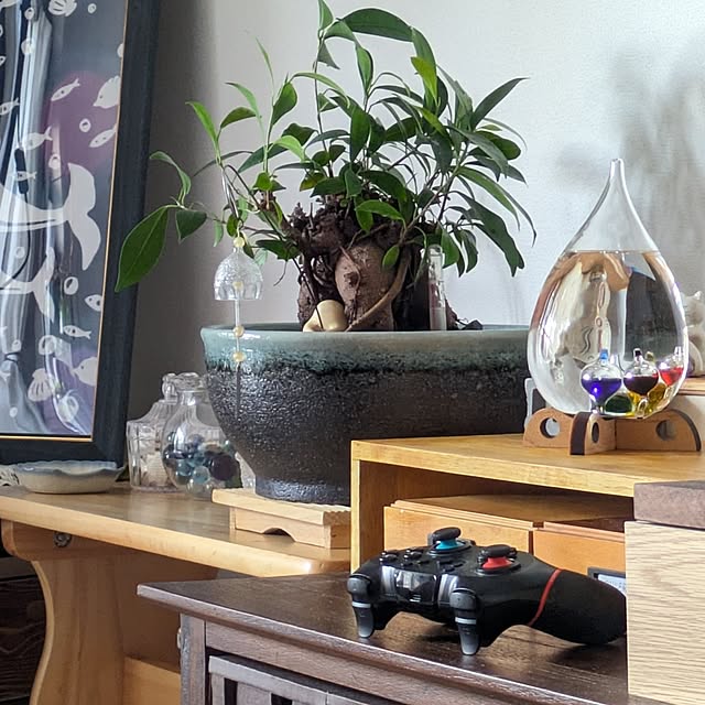 mi-saさんの部屋
