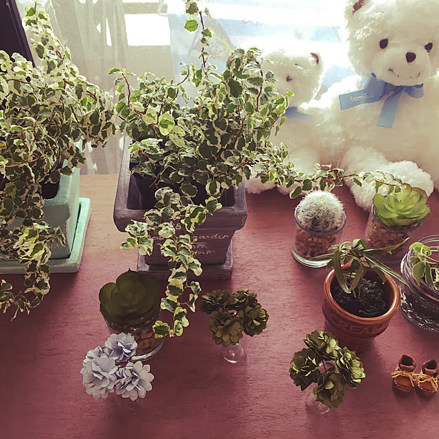 naokoさんの実例写真