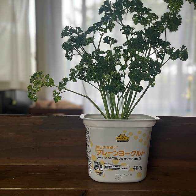mikan161さんの実例写真