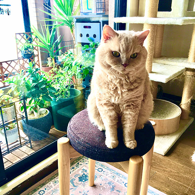 naokoさんの部屋