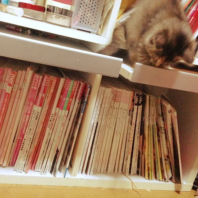 Aiさんの実例写真