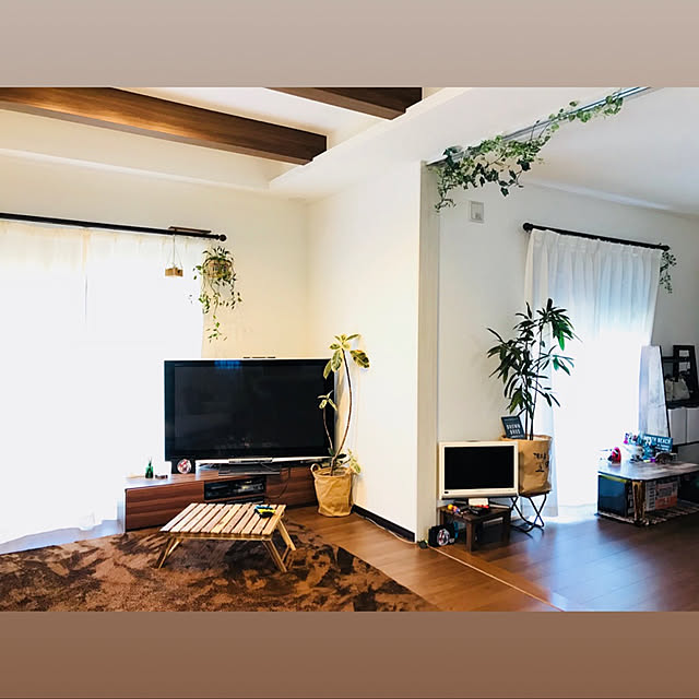 リビング/DIY/セリア/観葉植物/ナチュラルのインテリア実例 - 2018-05-15 17:58:36