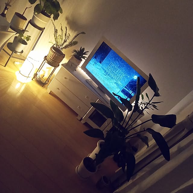 sachiy028さんの実例写真