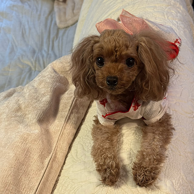 mamizaさんの部屋