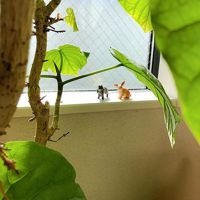 nekekinさんの実例写真