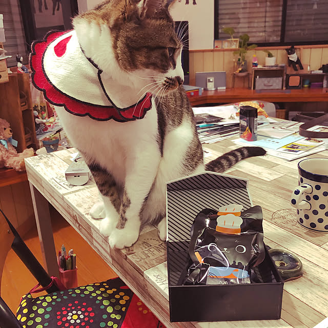 jijiさんの実例写真