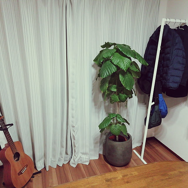 cocosabuさんの実例写真