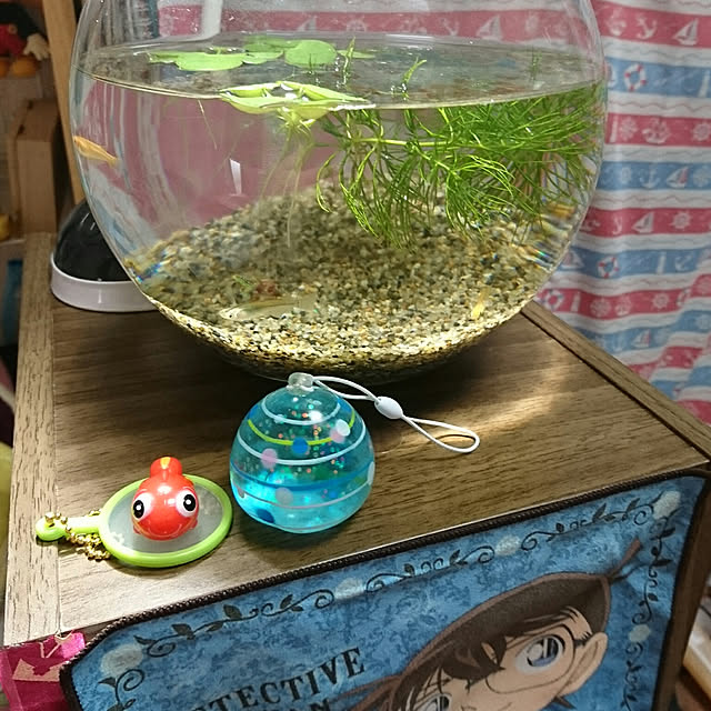 yuyuさんの実例写真