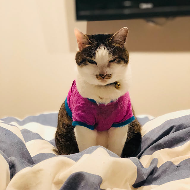 HomeSweetHomeさんの実例写真