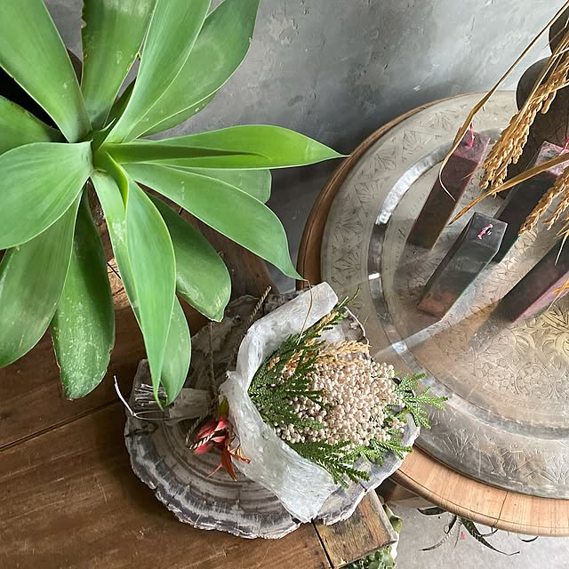 Royal_Gardeners_Clubさんの実例写真