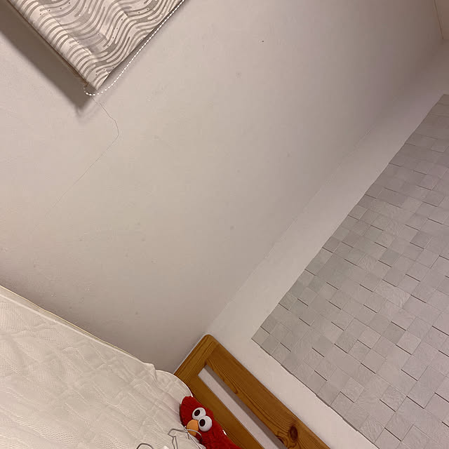 shokuchudokuさんの実例写真