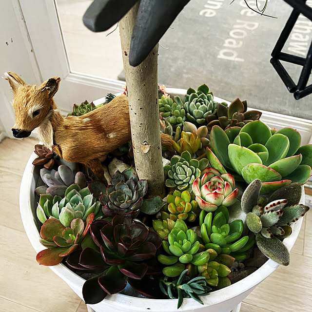 yuuchoさんの部屋