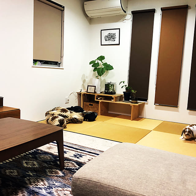 ratekoさんの実例写真