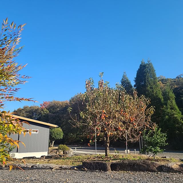 Rubiconさんの部屋