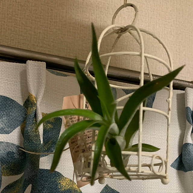 ayaさんの実例写真