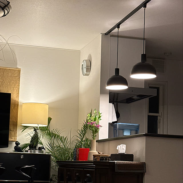 tillandsia.n.gardenさんの実例写真