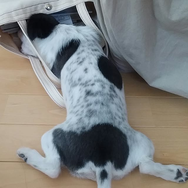 yukkoさんの実例写真