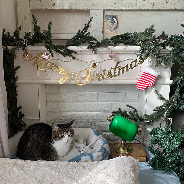 Rabbitさんの実例写真