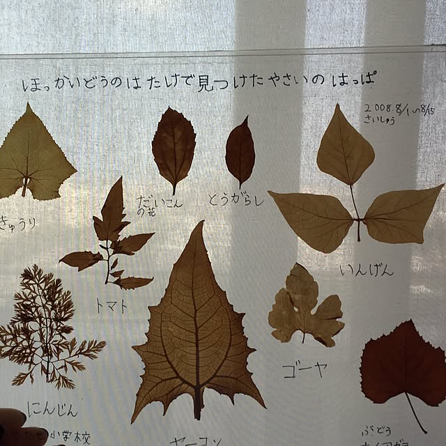 snow0077さんの実例写真