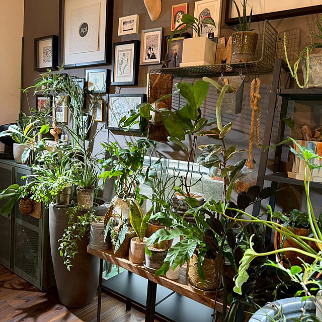 satoさんの部屋