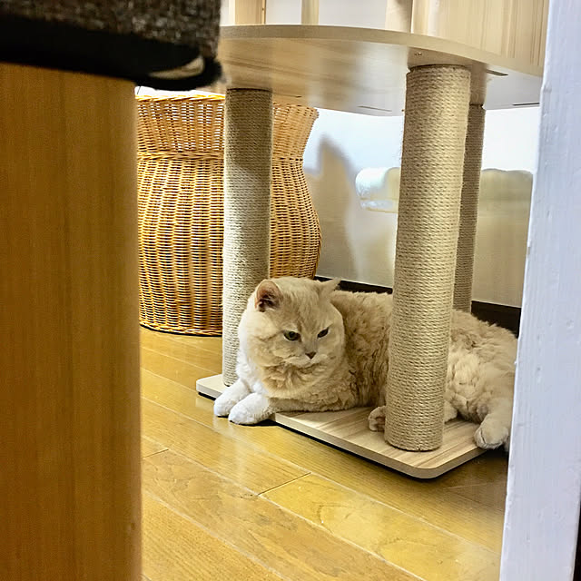naokoさんの部屋