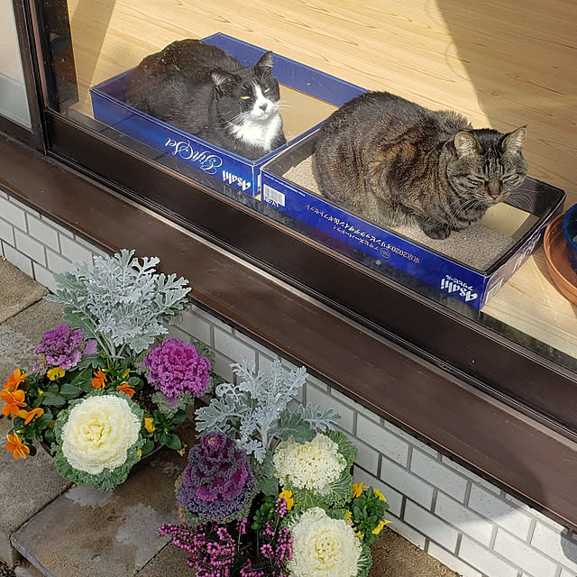 Mayumi8888さんの実例写真