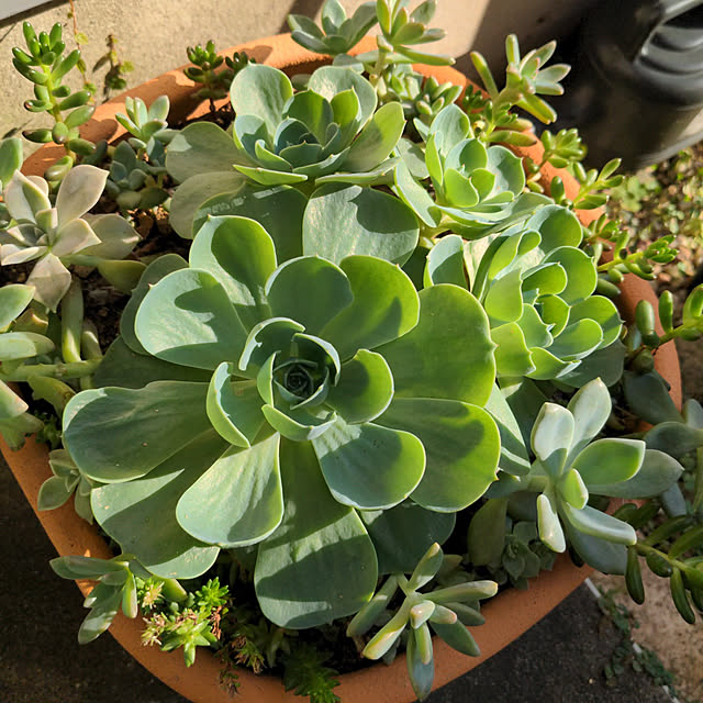 ryo.kotaさんの実例写真