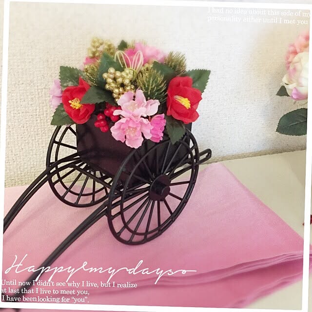 Satomiさんの実例写真