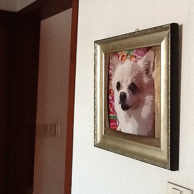Sangoさんの実例写真