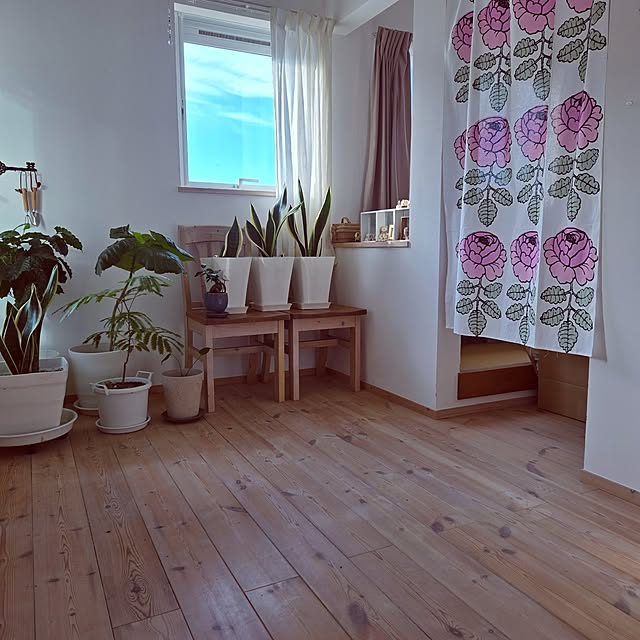 mayumiさんの実例写真