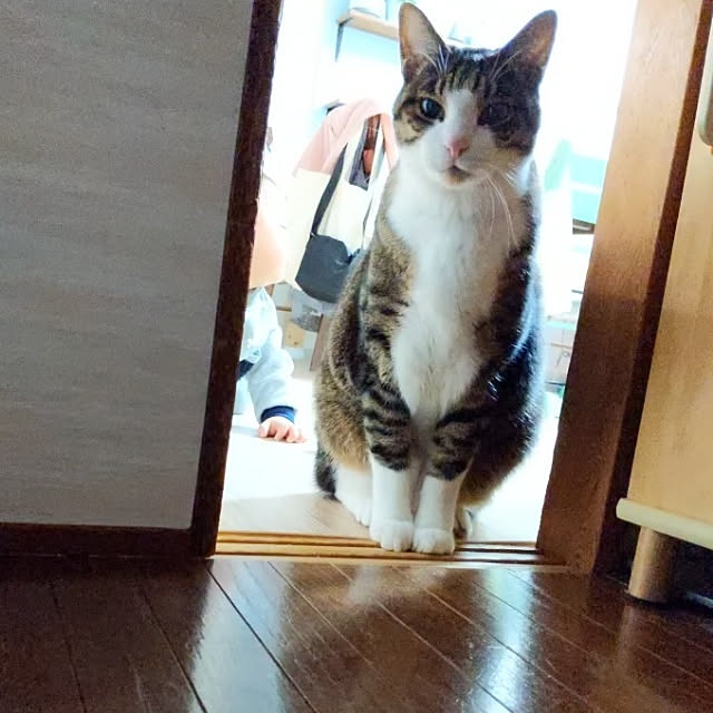 ichi.さんの実例写真