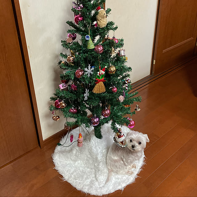 Robin27さんの実例写真