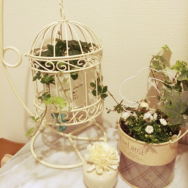 ayuさんの実例写真
