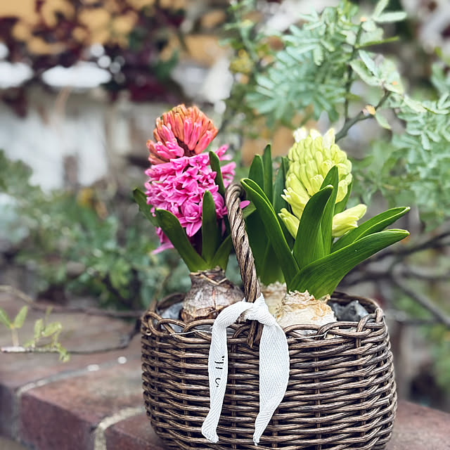 asako.10さんの実例写真