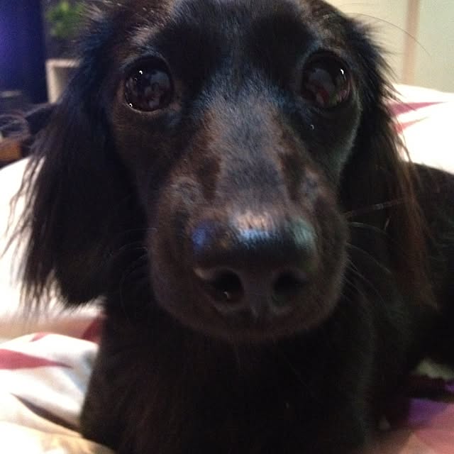 Yaeさんの実例写真