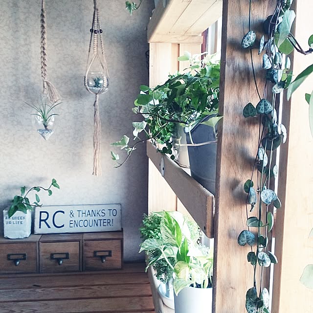 miporin0711さんの実例写真
