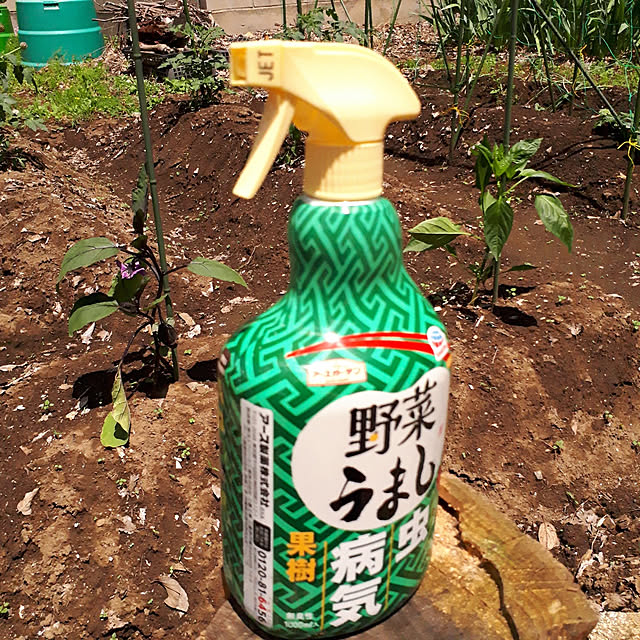 kazuraさんの実例写真