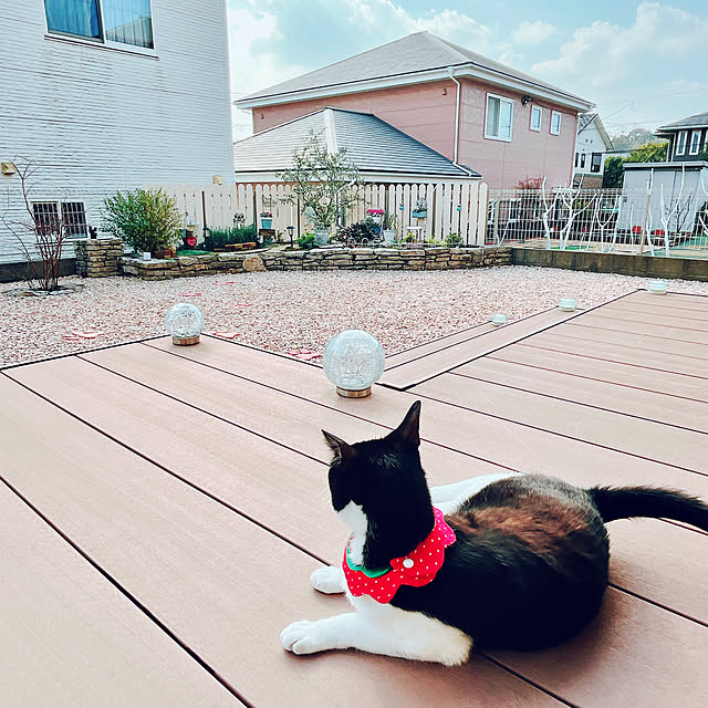 moolさんの実例写真
