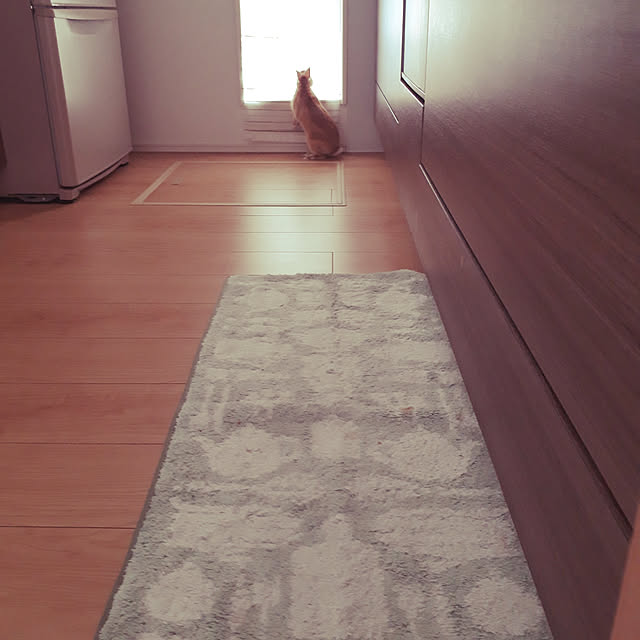 aiさんの実例写真