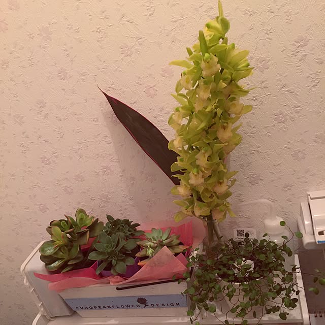 fortunateさんの実例写真