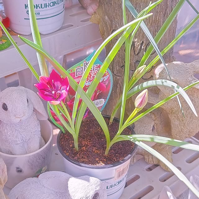 mariaさんの部屋