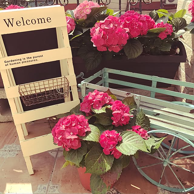 Oletaさんの実例写真