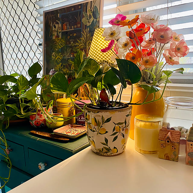 Spiceさんの部屋