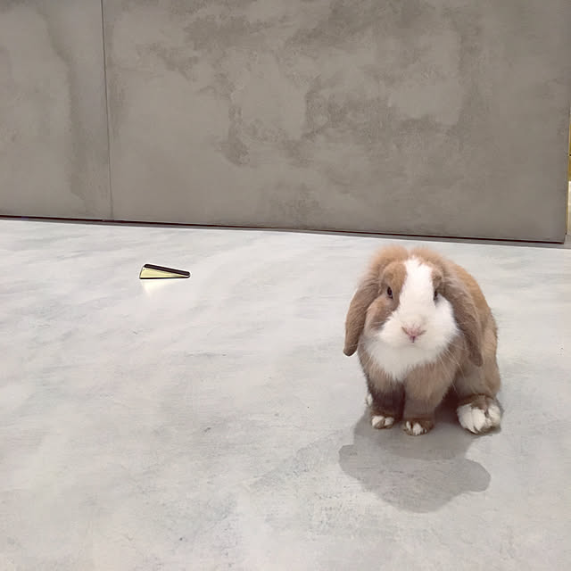 naokoomuraさんの実例写真