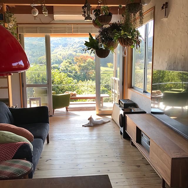 sakurasakuさんの実例写真