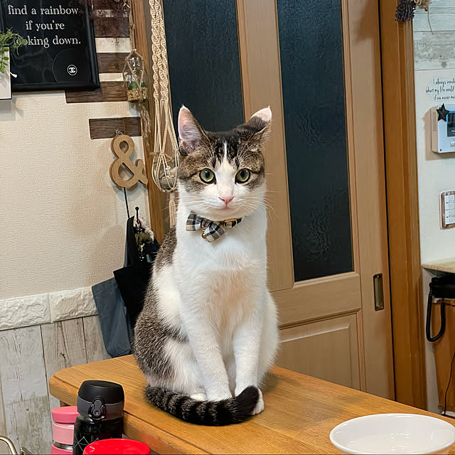 Akiさんの実例写真