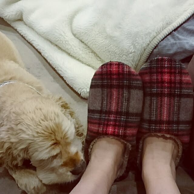 kik375さんの実例写真