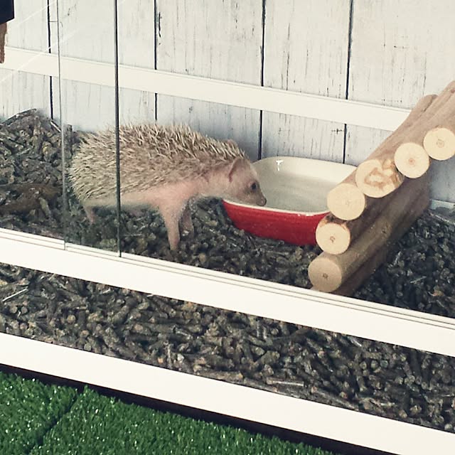 MINIさんの実例写真