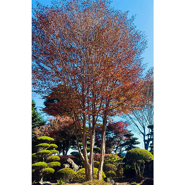 up0524さんの部屋