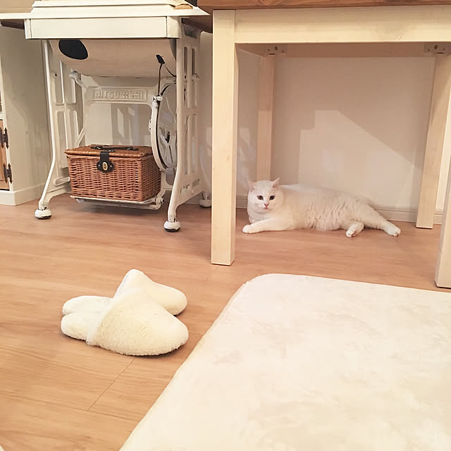 kaoさんの実例写真